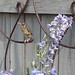 Robin Gamble Photo 23