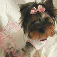 Linda Lehman Photo 36