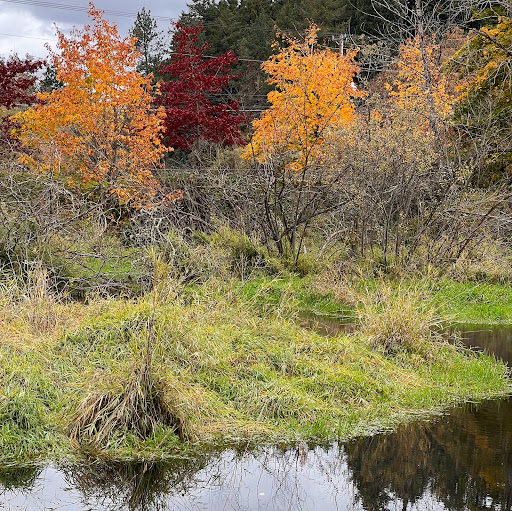Douglas Williams Photo 57