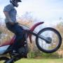 David Shockley Photo 9