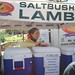 Vicki Lamb Photo 17