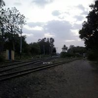 Ghanshyam Parmar Photo 17