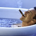 James Elliott Photo 7