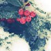 Holly Shiver Photo 11
