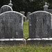 Lovell Walker Photo 7