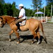 Ann Burcham Photo 3