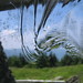 Mitchell Glass Photo 20