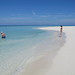 Sandy Turk Photo 8