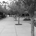 Debra Curtis Photo 38