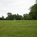 Lorraine Hedges Photo 10