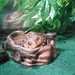 Jason Herman Photo 22