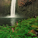 Randall Wade Photo 20