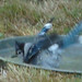 Robbin Long Photo 13