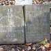 William Devey Photo 9