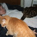Elaine Curtis Photo 25