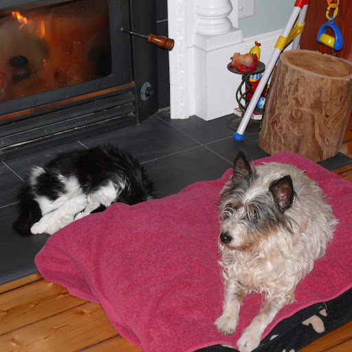 Deb Butcher Photo 4