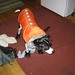 Ruby Coats Photo 7