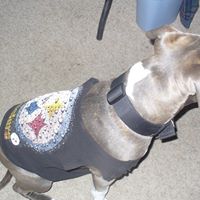 Barbara Rhoades Photo 22