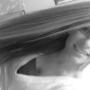 Shannon Thornton Photo 18