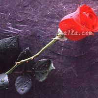 Varghese Abraham Photo 16