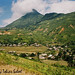 Ban Ho Photo 11