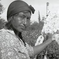 Ann Lemieux Photo 12