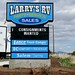 Larry Lance Photo 23