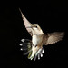 Mark Lucas Photo 29