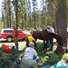 Kurt Hinds Photo 11
