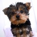 Candace Furry Photo 5