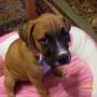 Gail Helms Photo 30