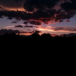 Todd Fleming Photo 35