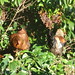 Kimberly Hedges Photo 13
