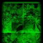 Allan Phillips Photo 22