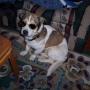 Catherine Riddle Photo 27