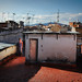 Lisa Paulin Photo 10