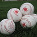 Phyllis Cartwright Photo 15