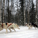 John Norris Photo 37