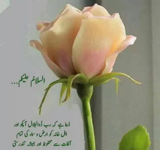 Muhammad Shabbir Photo 25