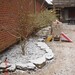 Andrew Dacus Photo 13