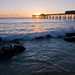 Catherine Warf Photo 5