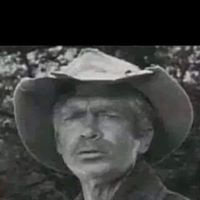 Tommy Webber Photo 4