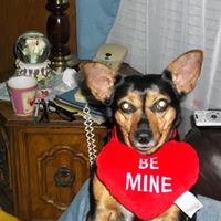 Debra Mccullough Photo 12