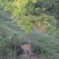 Nancy Conner Photo 18
