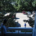 David Westland Photo 17