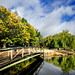 Victoria Morse Photo 16