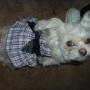 Cindy Vandyke Photo 8