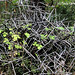 Paula Varner Photo 11
