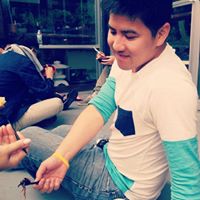 Brian Luu Photo 9