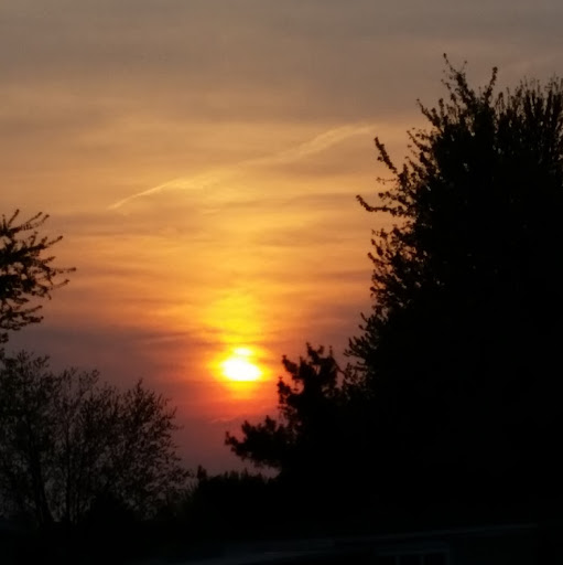 David Schaff Photo 7